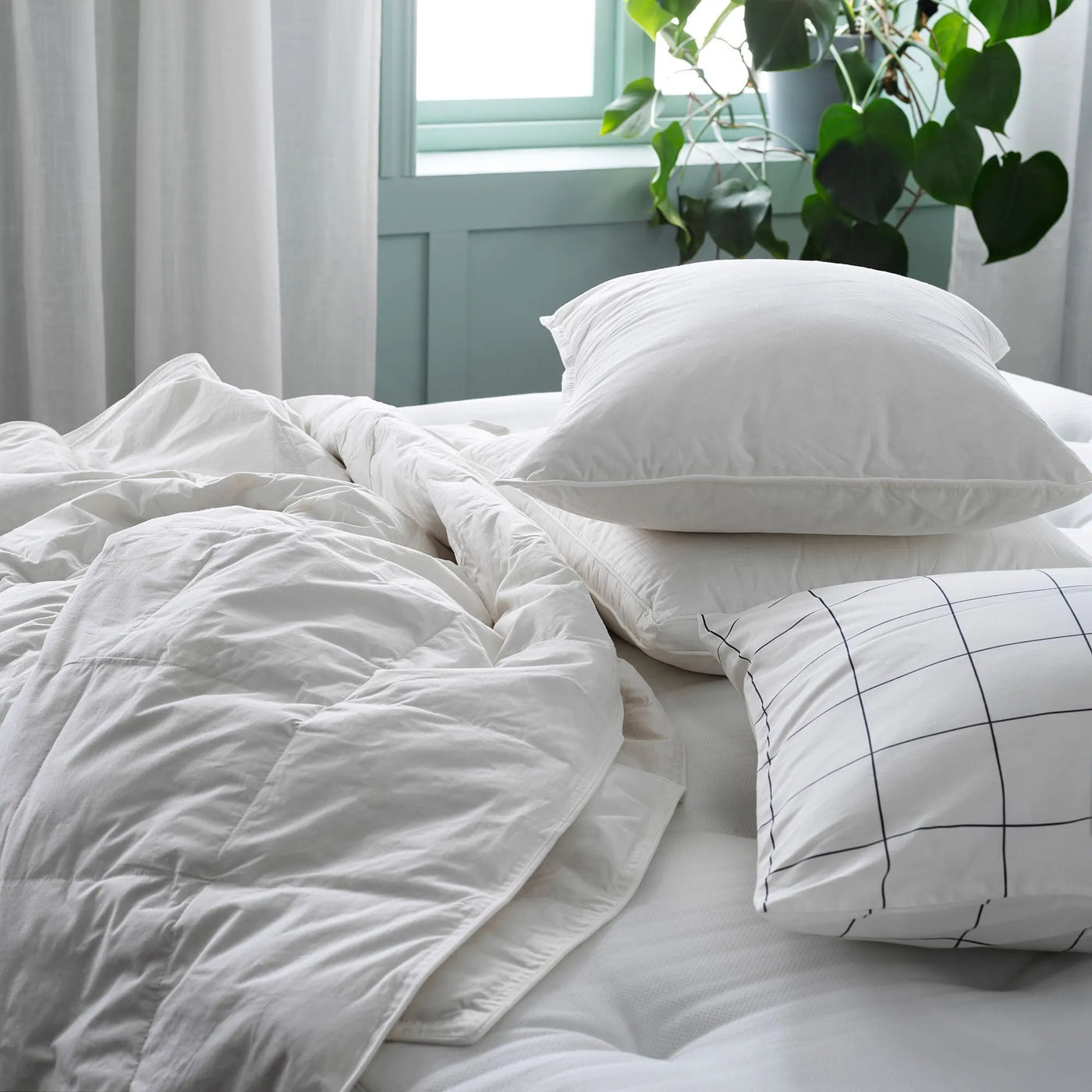 Home Essentials